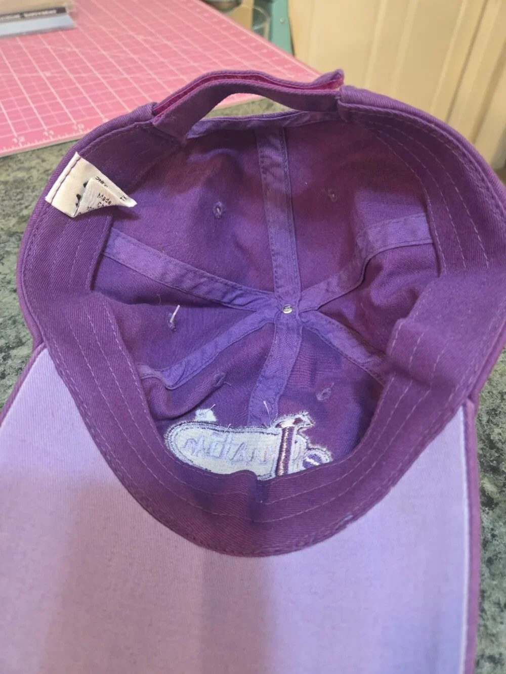 Justin Boots Hats Purple & Tan Barbed Wire & Bling Cap